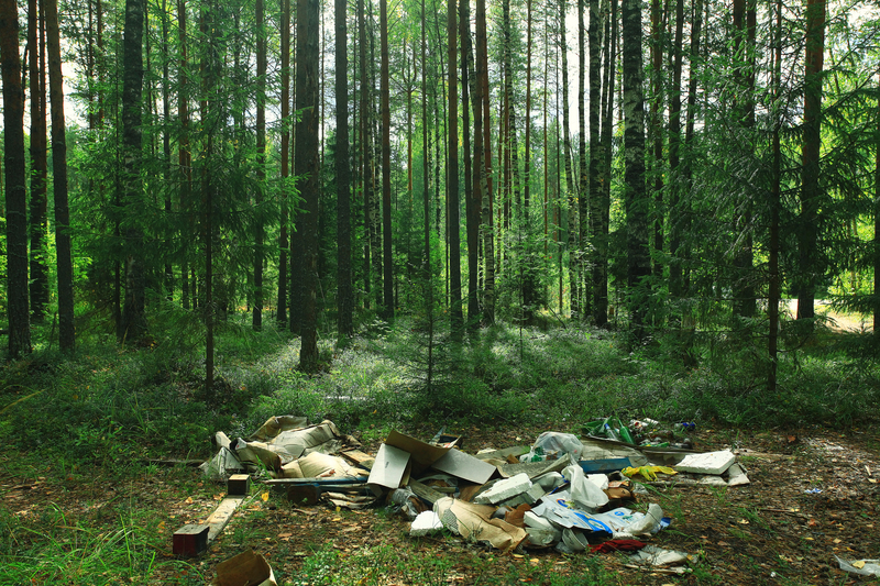 The Role of Technology in Streamlining Packaging and Cardboard Disposal